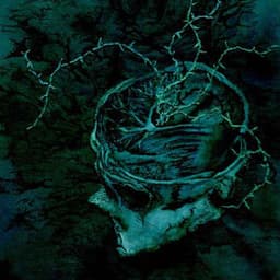 Nachtmystium - Instinct: Decay